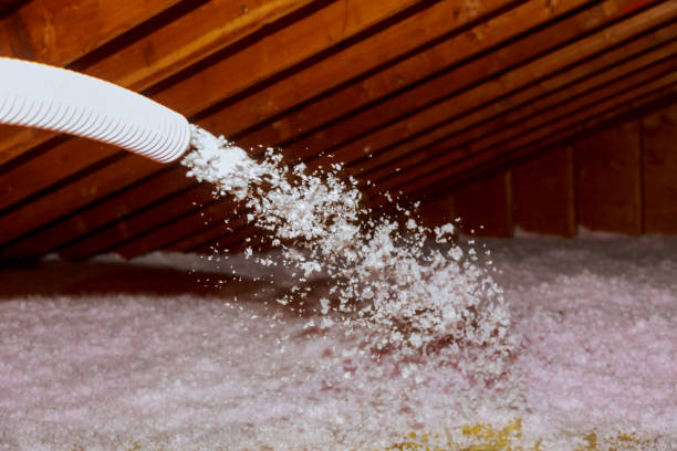 Best Energy Efficiency Solutions in Canutillo, TX